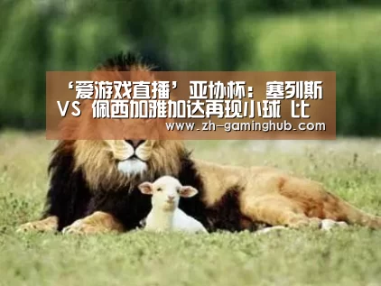 爱游戏官方入口
