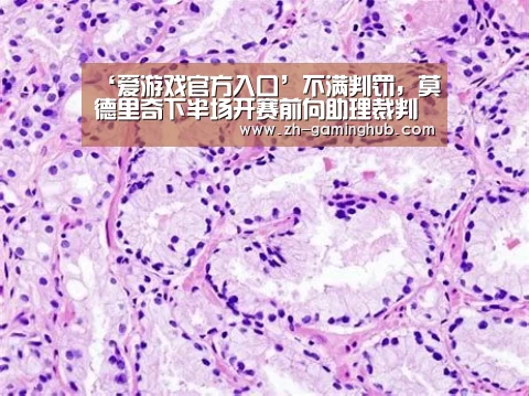 ‘爱游戏官方入口’不满判罚,莫德里奇下半场开赛前向助理裁判申诉(图1) 爱游戏直播