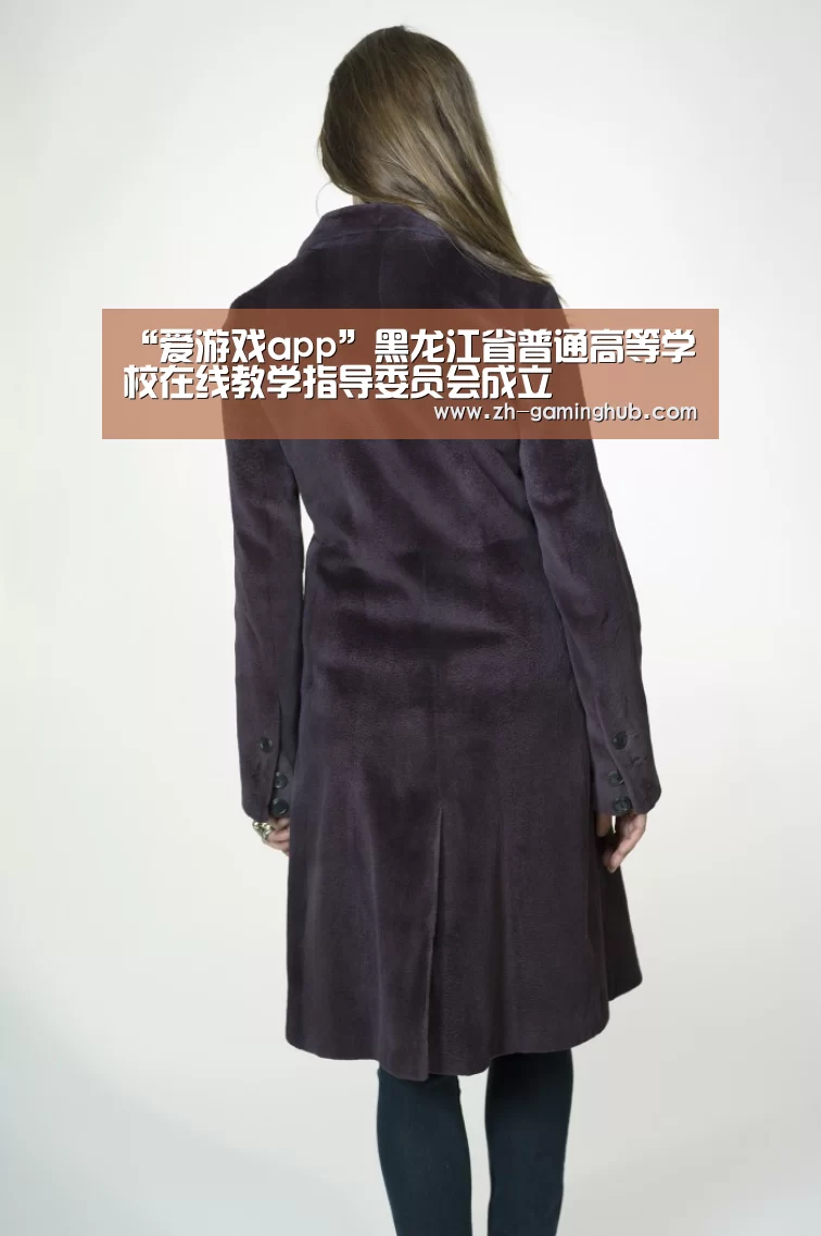 “爱游戏app”黑龙江省普通高等学校在线教学指导委员会成立(图3) 爱游戏官方