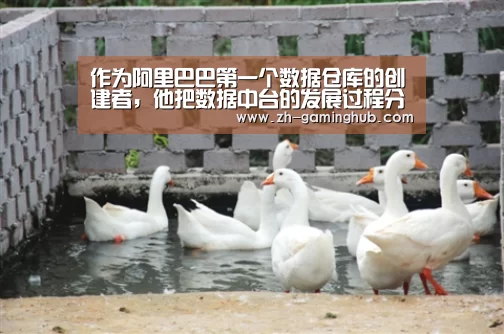 作为阿里巴巴第一个数据仓库的创建者,他把数据中台的发展过程分成了四个阶段|爱游戏app(图2) 爱游戏官方