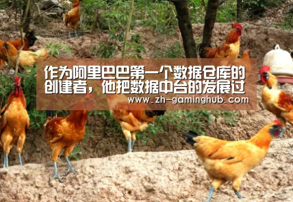 作为阿里巴巴第一个数据仓库的创建者,他把数据中台的发展过程分成了四个阶段|爱游戏app(图3) 爱游戏直播