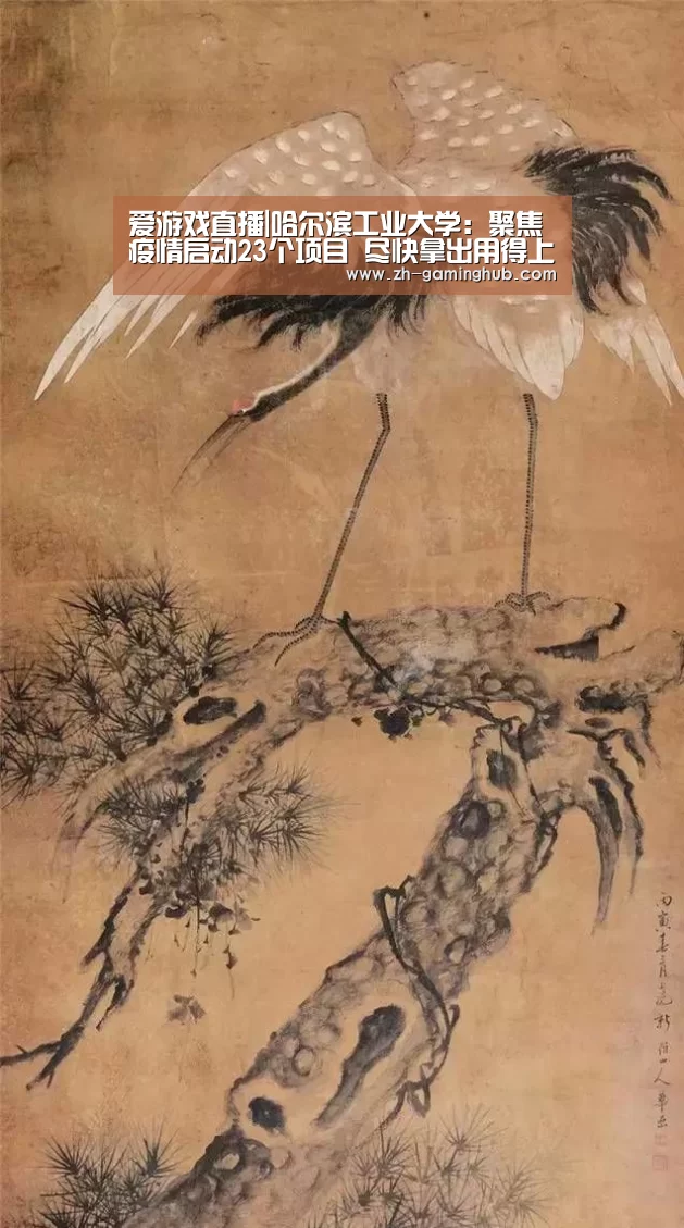 爱游戏官方入口