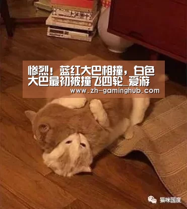 惨烈!蓝红大巴相撞,白色大巴最初被撞飞四轮_爱游戏app(图2) 爱游戏官方入口