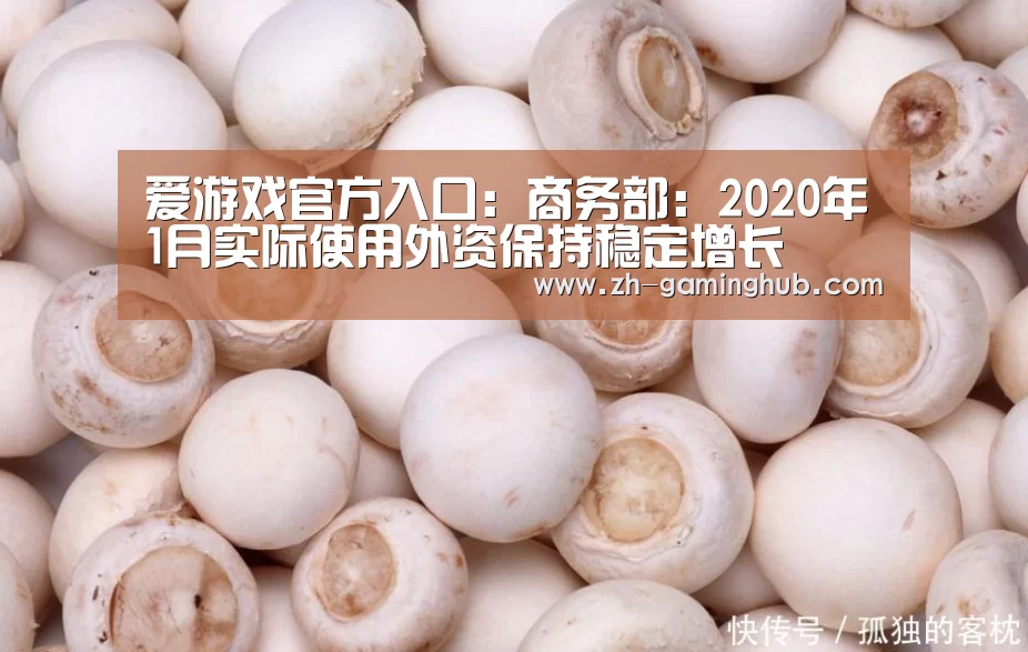 爱游戏官方入口:商务部:2020年1月实际使用外资保持稳定增长(图1) 爱游戏app