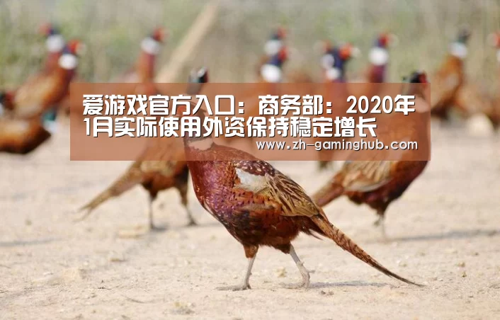 爱游戏官方入口:商务部:2020年1月实际使用外资保持稳定增长(图2) 爱游戏app