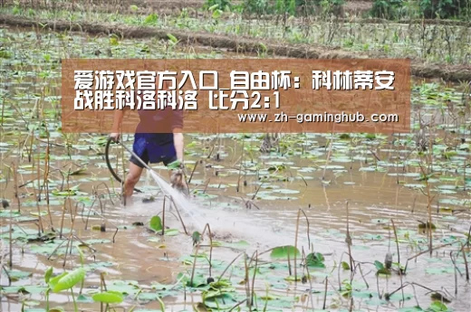 爱游戏官方入口_自由杯: 科林蒂安战胜科洛科洛 比分2:1(图2) 爱游戏直播
